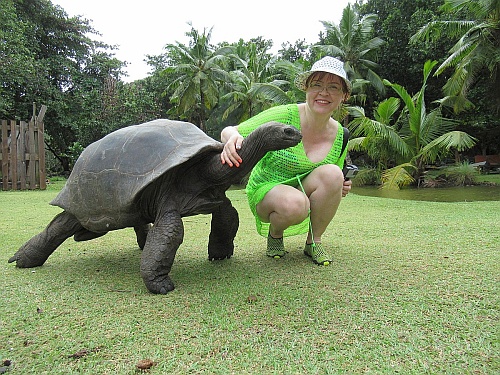 Заповедник гигантских черепах на Силуэте