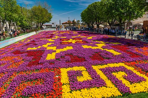 Фестиваль тюльпанов в Стамбуле