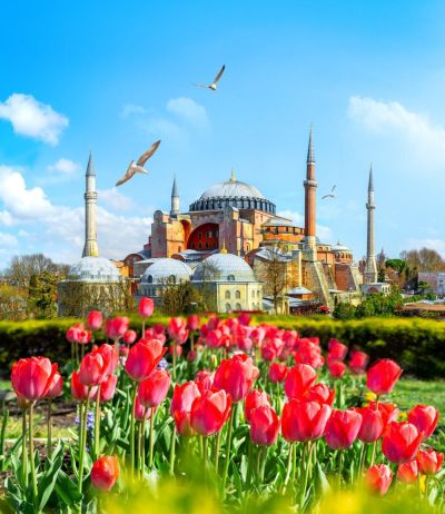Фестиваль тюльпанов в Стамбуле