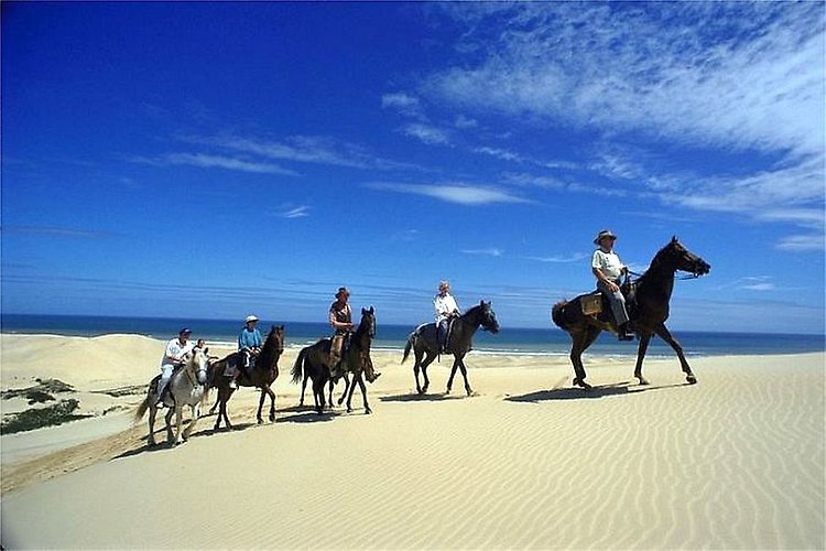 Phuket Riding Club Rawai