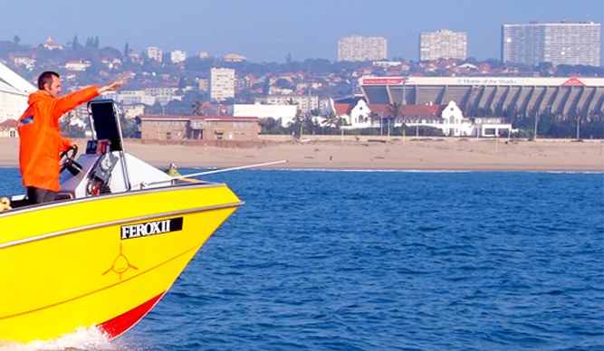 KwaZulu-Natal Sharks Board