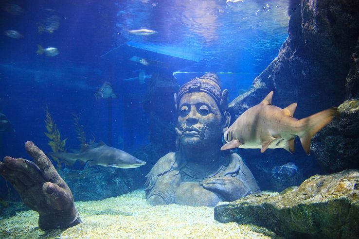 Океанариум Sea Life Bangkok Ocean World