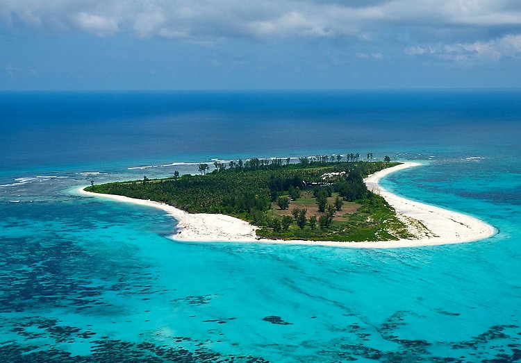 Птичий остров (Bird Island)
