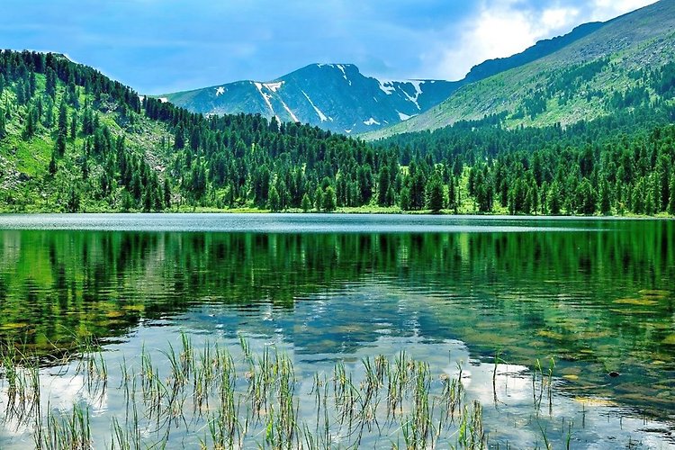 Алтай Каракольская долина