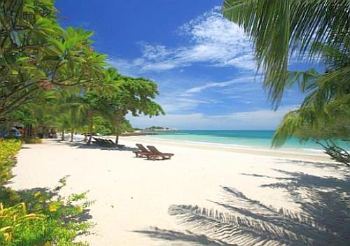 Paradee Resort
